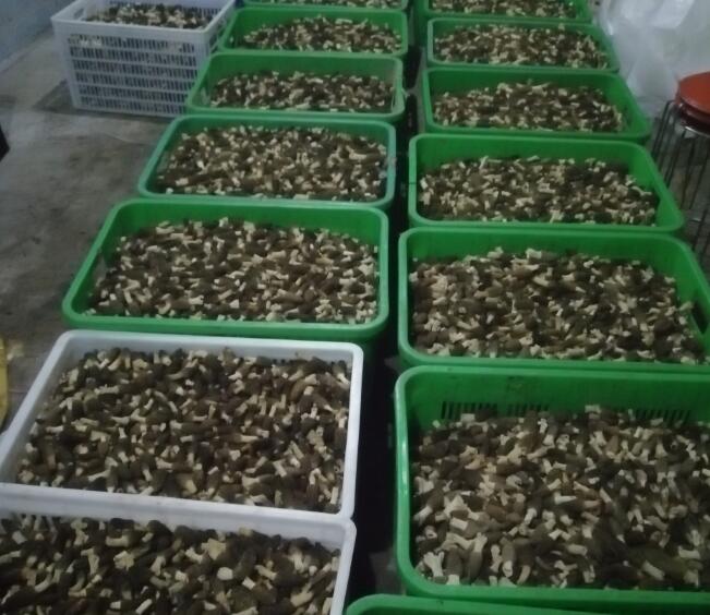 &#24320;&#20803;&#32593;&#31449;&#30331;&#24405;&#20837;&#21475;&#95;&#24320;&#20803;&#65288;&#20013;&#22269;&#65289;